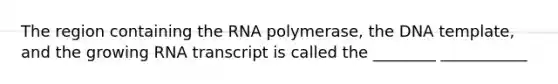 The region containing the RNA polymerase, the DNA template, and the growing RNA transcript is called the ________ ___________