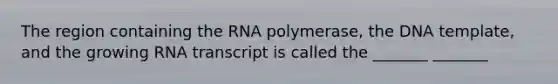 The region containing the RNA polymerase, the DNA template, and the growing RNA transcript is called the _______ _______