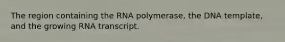 The region containing the RNA polymerase, the DNA template, and the growing RNA transcript.