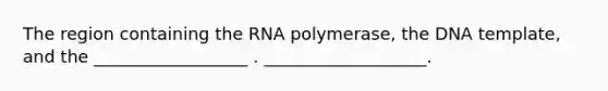 The region containing the RNA polymerase, the DNA template, and the __________________ . ___________________.