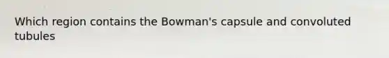 Which region contains the Bowman's capsule and convoluted tubules