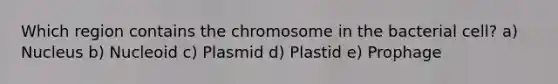 Which region contains the chromosome in the bacterial cell? a) Nucleus b) Nucleoid c) Plasmid d) Plastid e) Prophage