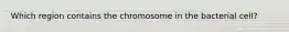 Which region contains the chromosome in the bacterial cell?
