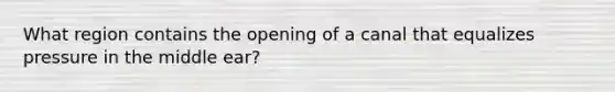 What region contains the opening of a canal that equalizes pressure in the middle ear?