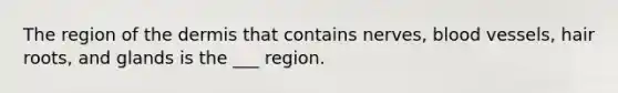 The region of <a href='https://www.questionai.com/knowledge/kEsXbG6AwS-the-dermis' class='anchor-knowledge'>the dermis</a> that contains nerves, <a href='https://www.questionai.com/knowledge/kZJ3mNKN7P-blood-vessels' class='anchor-knowledge'>blood vessels</a>, hair roots, and glands is the ___ region.