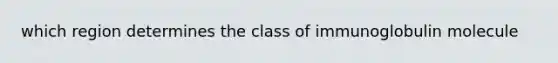 which region determines the class of immunoglobulin molecule