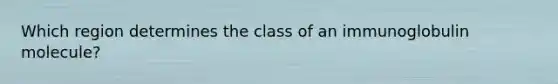 Which region determines the class of an immunoglobulin molecule?