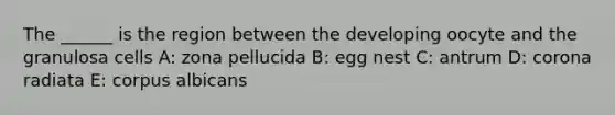 The ______ is the region between the developing oocyte and the granulosa cells A: zona pellucida B: egg nest C: antrum D: corona radiata E: corpus albicans