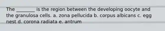 The ________ is the region between the developing oocyte and the granulosa cells. a. zona pellucida b. corpus albicans c. egg nest d. corona radiata e. antrum