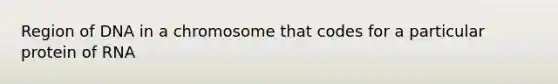 Region of DNA in a chromosome that codes for a particular protein of RNA