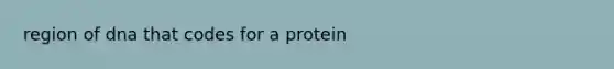 region of dna that codes for a protein