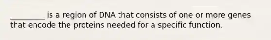 _________ is a region of DNA that consists of one or more genes that encode the proteins needed for a specific function.