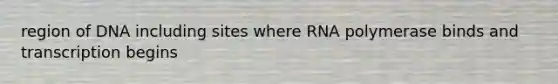 region of DNA including sites where RNA polymerase binds and transcription begins