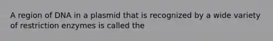 A region of DNA in a plasmid that is recognized by a wide variety of restriction enzymes is called the