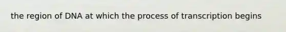 the region of DNA at which the process of transcription begins