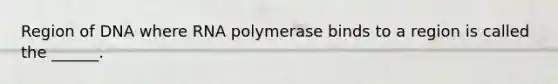 Region of DNA where RNA polymerase binds to a region is called the ______.