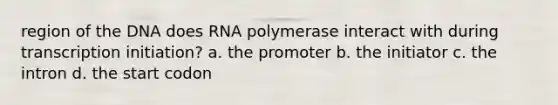 region of the DNA does RNA polymerase interact with during transcription initiation? a. the promoter b. the initiator c. the intron d. the start codon