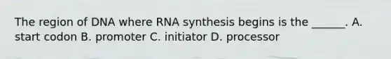 The region of DNA where RNA synthesis begins is the ______. A. start codon B. promoter C. initiator D. processor