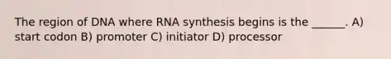 The region of DNA where RNA synthesis begins is the ______. A) start codon B) promoter C) initiator D) processor