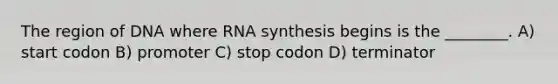 The region of DNA where RNA synthesis begins is the ________. A) start codon B) promoter C) stop codon D) terminator