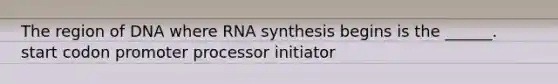 The region of DNA where RNA synthesis begins is the ______. start codon promoter processor initiator