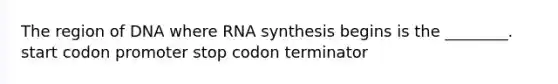 The region of DNA where RNA synthesis begins is the ________. start codon promoter stop codon terminator