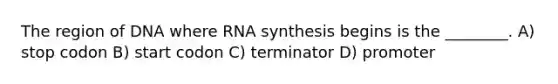 The region of DNA where RNA synthesis begins is the ________. A) stop codon B) start codon C) terminator D) promoter