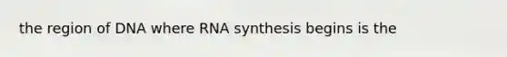 the region of DNA where RNA synthesis begins is the