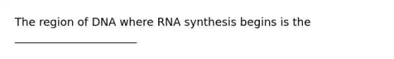 The region of DNA where RNA synthesis begins is the ______________________