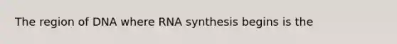 The region of DNA where RNA synthesis begins is the