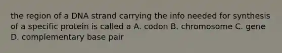 the region of a DNA strand carrying the info needed for synthesis of a specific protein is called a A. codon B. chromosome C. gene D. complementary base pair