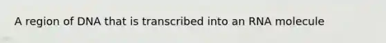 A region of DNA that is transcribed into an RNA molecule