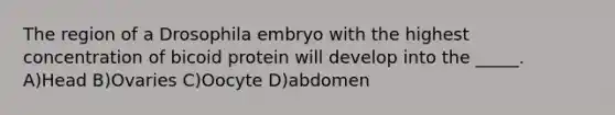 The region of a Drosophila embryo with the highest concentration of bicoid protein will develop into the _____. A)Head B)Ovaries C)Oocyte D)abdomen