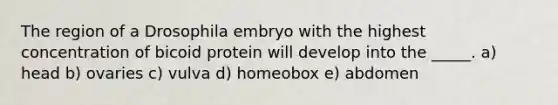 The region of a Drosophila embryo with the highest concentration of bicoid protein will develop into the _____. a) head b) ovaries c) vulva d) homeobox e) abdomen