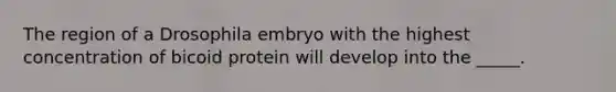 The region of a Drosophila embryo with the highest concentration of bicoid protein will develop into the _____.