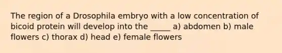 The region of a Drosophila embryo with a low concentration of bicoid protein will develop into the _____ a) abdomen b) male flowers c) thorax d) head e) female flowers