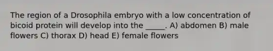 The region of a Drosophila embryo with a low concentration of bicoid protein will develop into the _____. A) abdomen B) male flowers C) thorax D) head E) female flowers