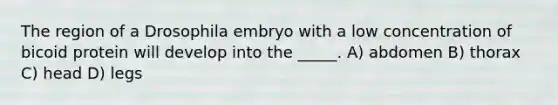 The region of a Drosophila embryo with a low concentration of bicoid protein will develop into the _____. A) abdomen B) thorax C) head D) legs