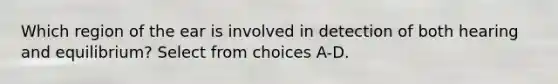 Which region of the ear is involved in detection of both hearing and equilibrium? Select from choices A-D.