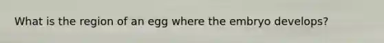 What is the region of an egg where the embryo develops?