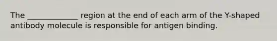 The _____________ region at the end of each arm of the Y-shaped antibody molecule is responsible for antigen binding.