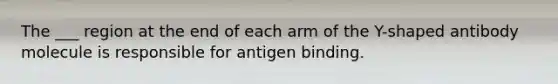 The ___ region at the end of each arm of the Y-shaped antibody molecule is responsible for antigen binding.