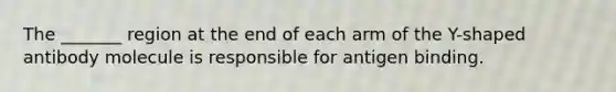 The _______ region at the end of each arm of the Y-shaped antibody molecule is responsible for antigen binding.