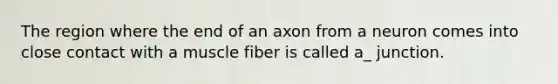 The region where the end of an axon from a neuron comes into close contact with a muscle fiber is called a_ junction.