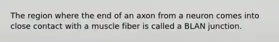 The region where the end of an axon from a neuron comes into close contact with a muscle fiber is called a BLAN junction.