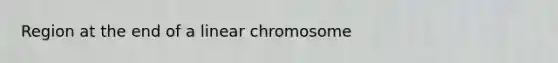 Region at the end of a linear chromosome