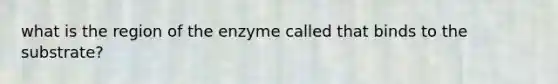 what is the region of the enzyme called that binds to the substrate?