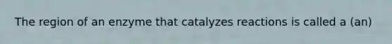 The region of an enzyme that catalyzes reactions is called a (an)