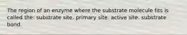 The region of an enzyme where the substrate molecule fits is called the: substrate site. primary site. active site. substrate bond.