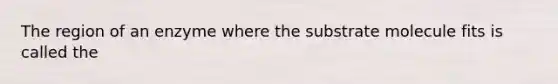 The region of an enzyme where the substrate molecule fits is called the